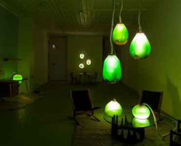 interior design blogs lamps made of algae installation (Copy)