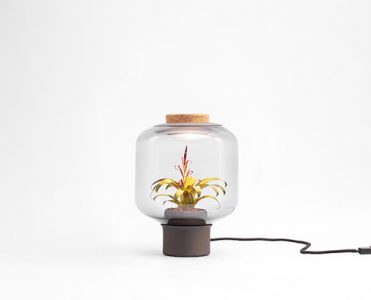 Lighting Meets Nature on this Inspiring Creation by Nui Studio