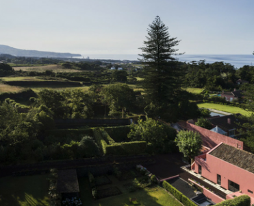 Simple Modern House Design With Outstanding Surprise!