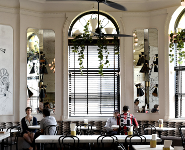 One Rose In New York Looks Beautiful