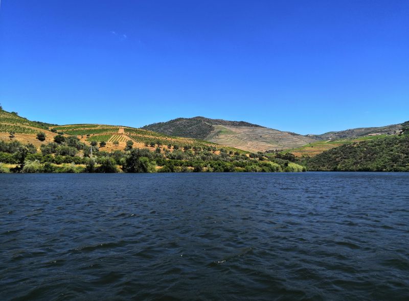 Hot This Week ? Exclusive New Pictures of Mid-Century Covet Valley